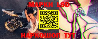 спиды Будённовск