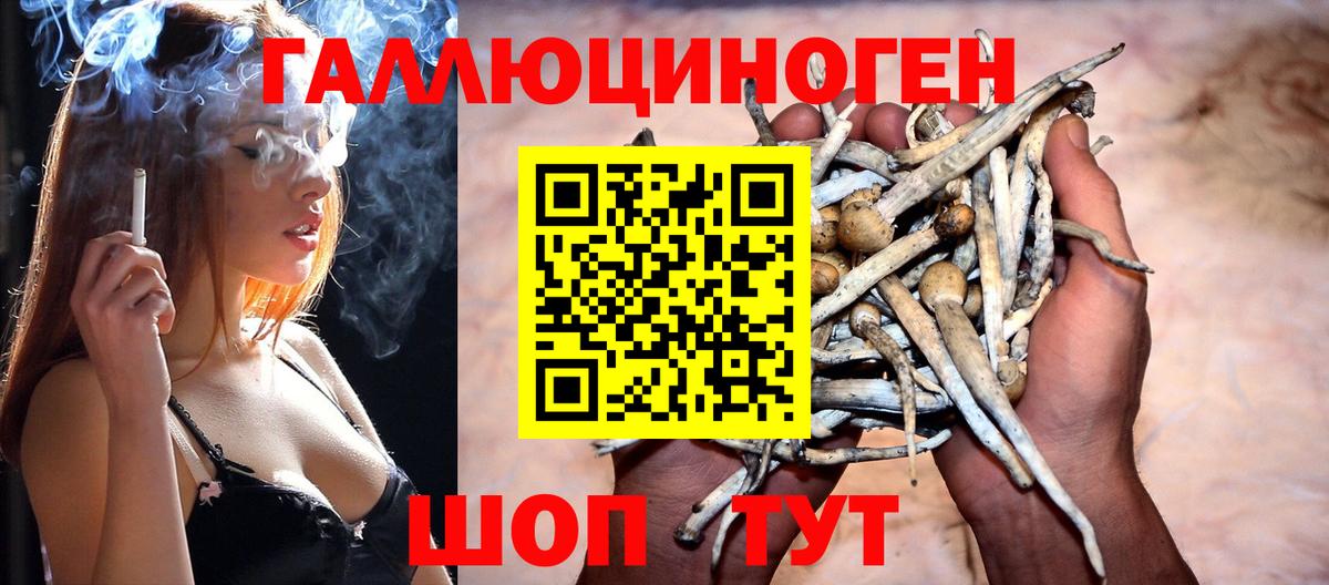 Псилоцибиновые грибы ЛСД  Вход с VPN  Новочеркасск 