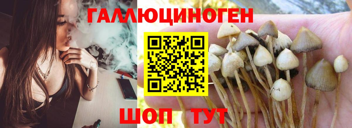 Псилоцибиновые грибы ЛСД Новочеркасск