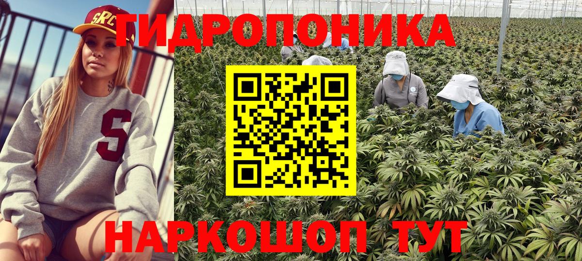 Канабис план Новочеркасск